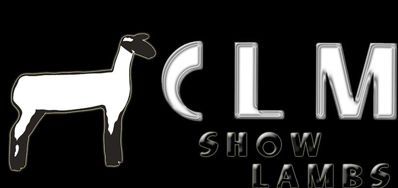 CLM Show Lambs